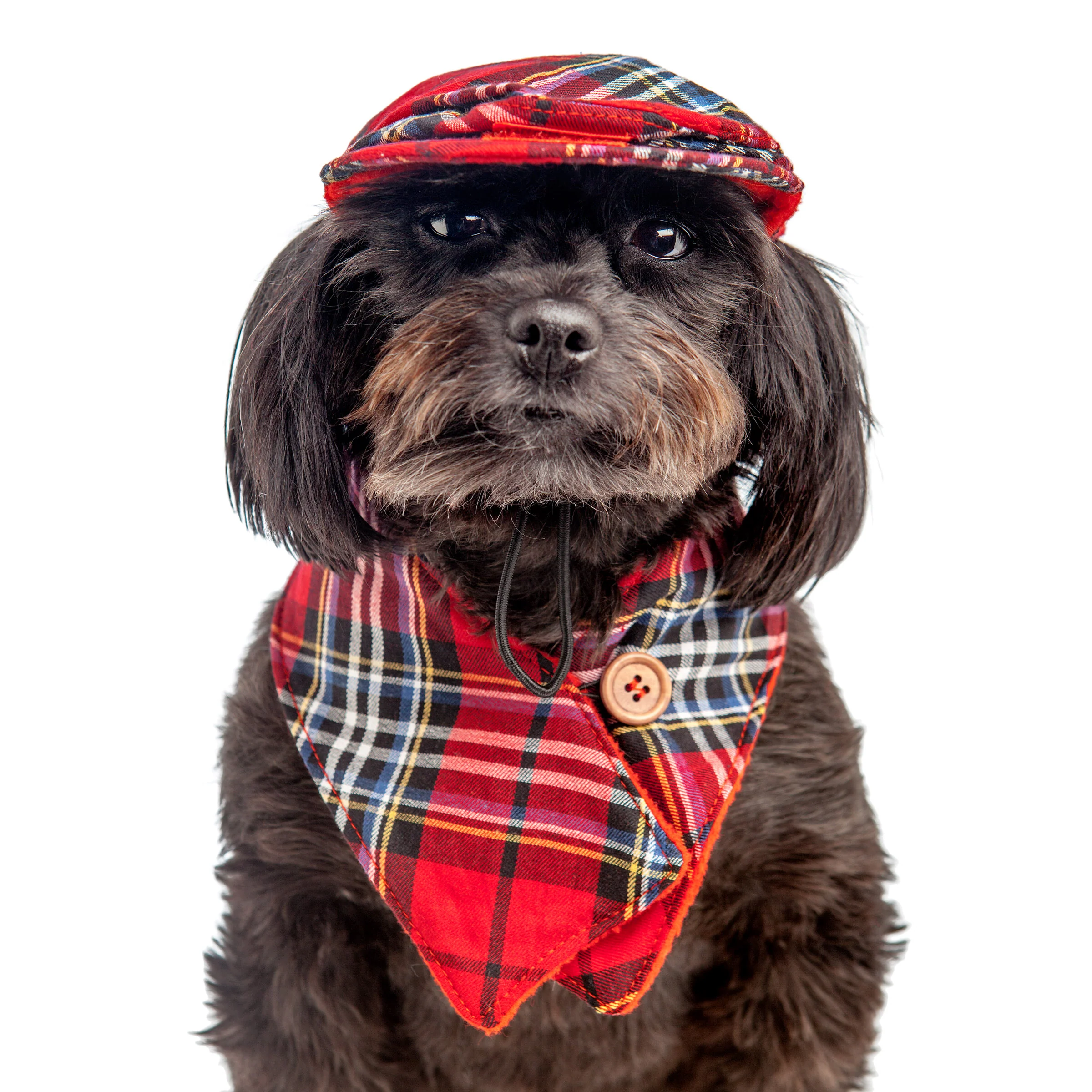 CROCI | Plaid Cap + Scarf Set - Image 2