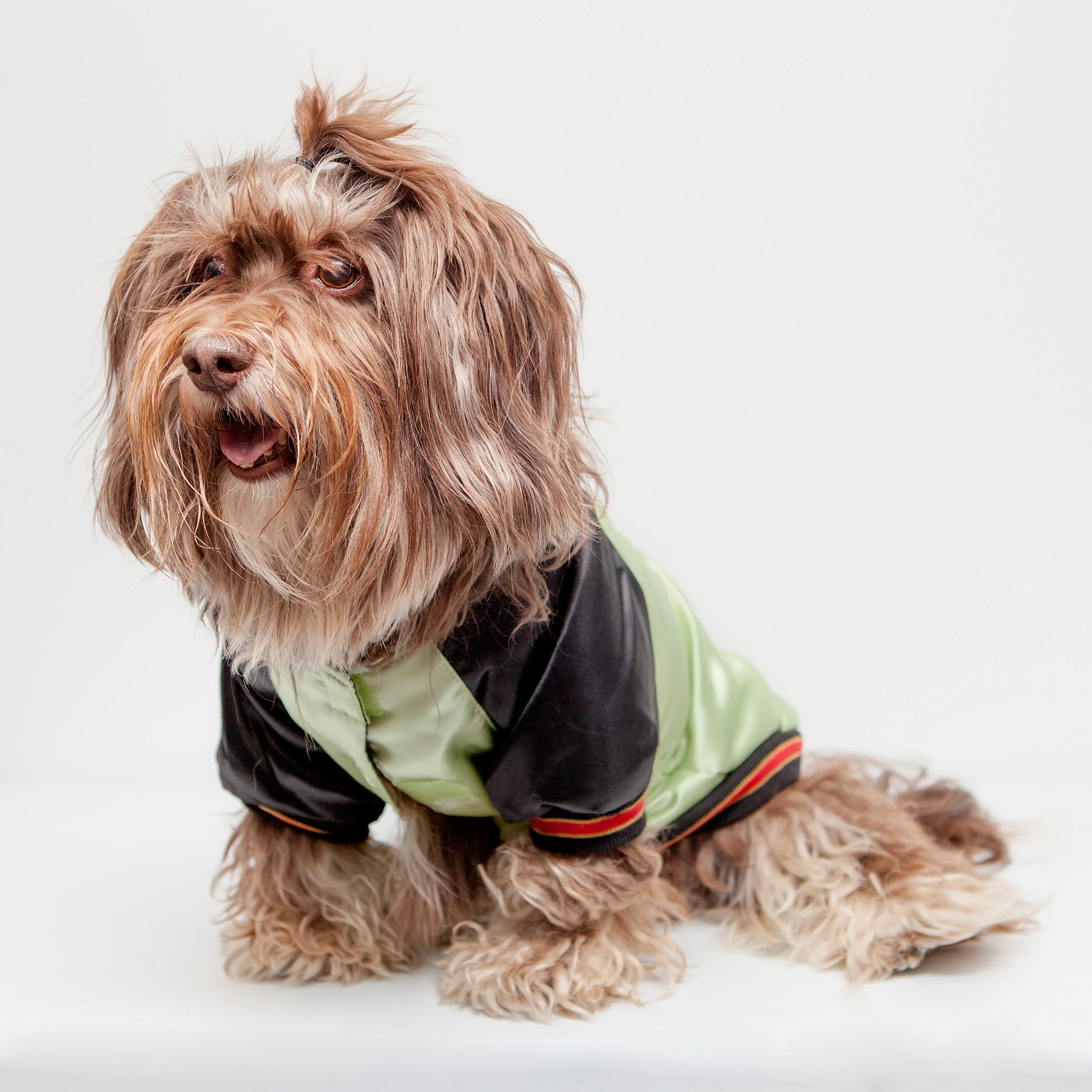CROCI | Street Dragon Padded Jacket - Image 2