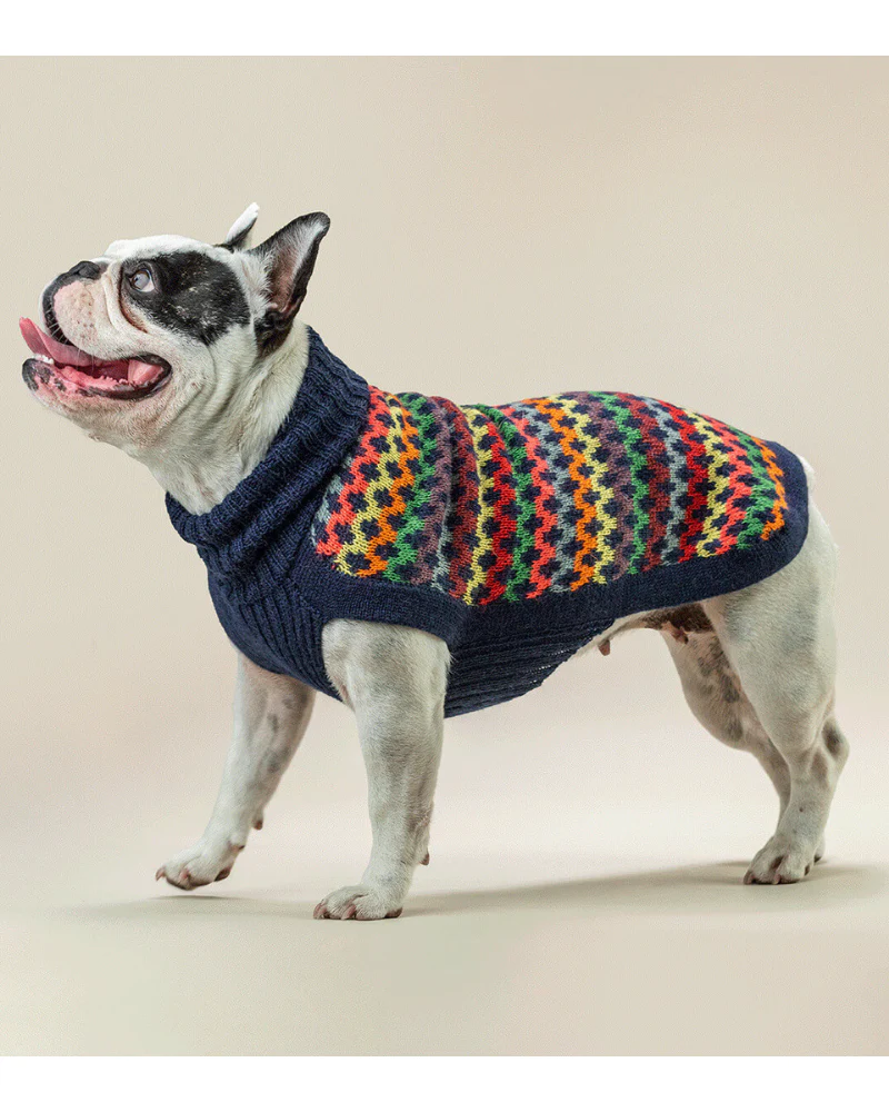 Crossroads Alpaca Dog Sweater in Blue (FINAL SALE) - Image 3