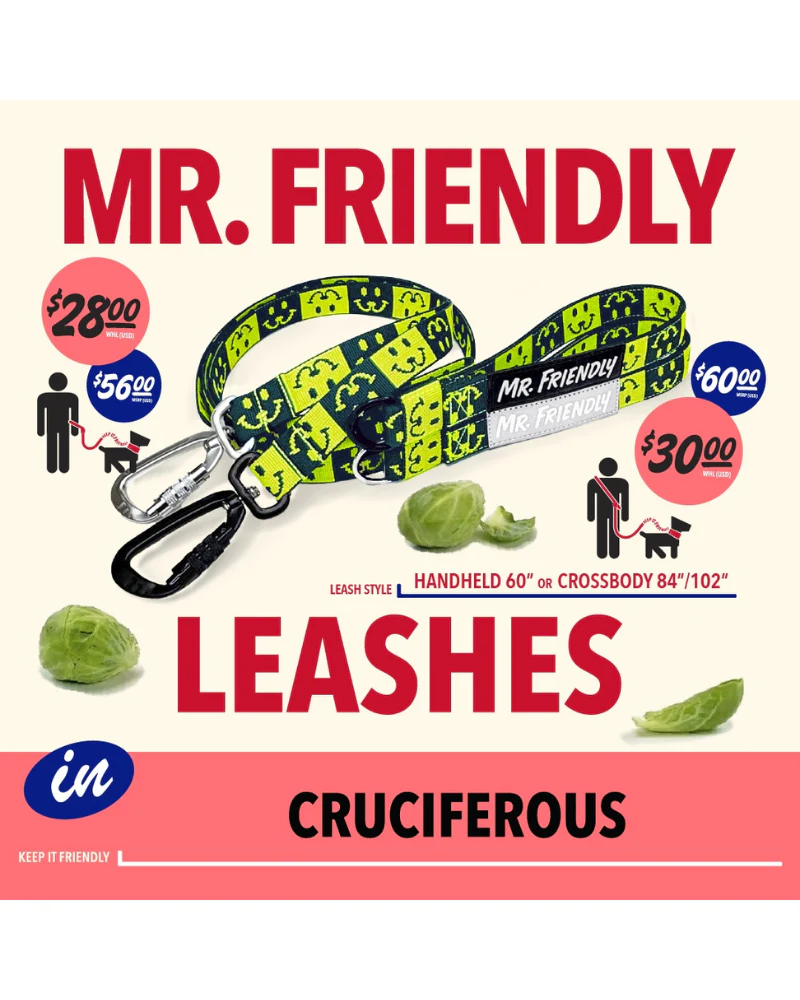 Cruciferous Crossbody Dog Leash with Black Hardware (Made in the USA) - Image 2