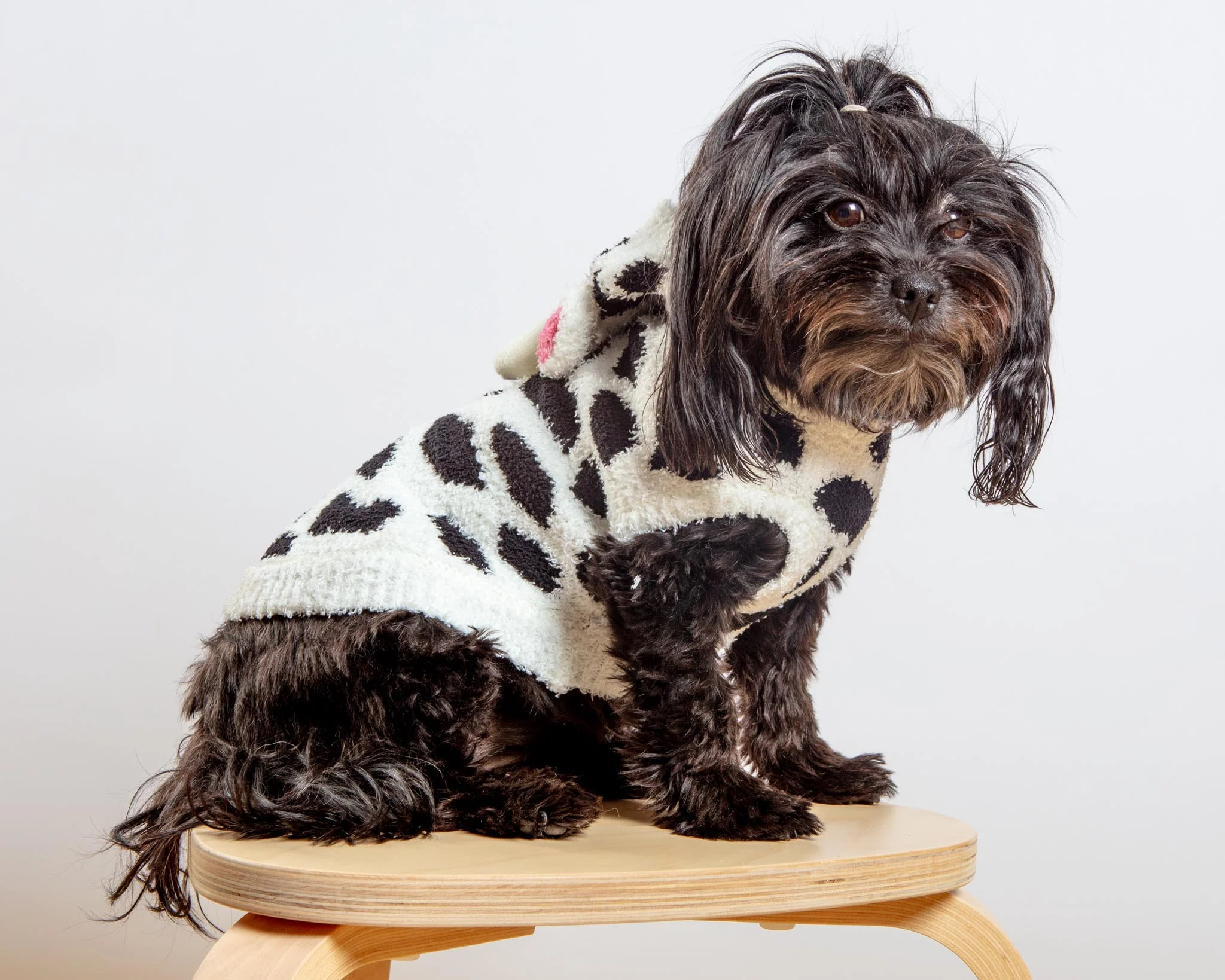 Cuddly Cow Chenille Dog Sweater - Image 5