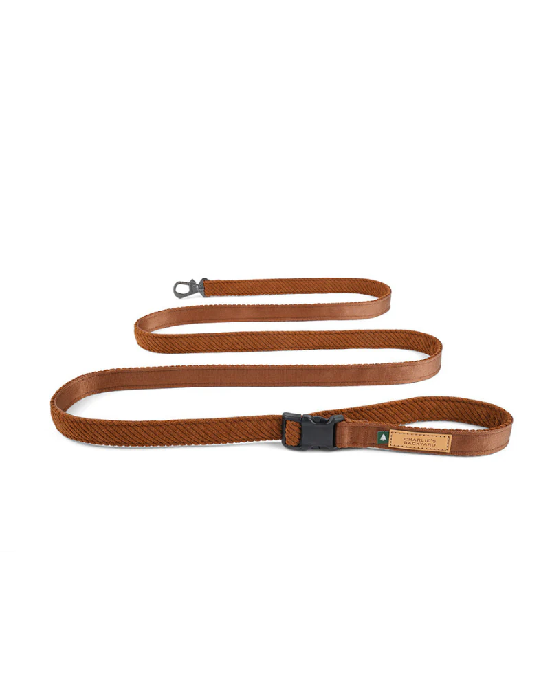 "Roy" Corduroy Adjustable Dog Leash - Image 4
