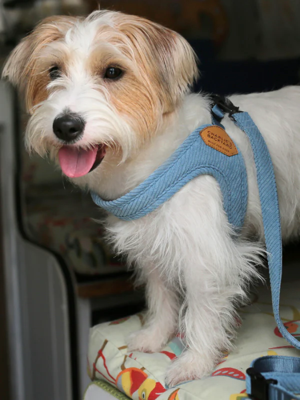 "Roy" Corduroy Adjustable Dog Leash - Image 5
