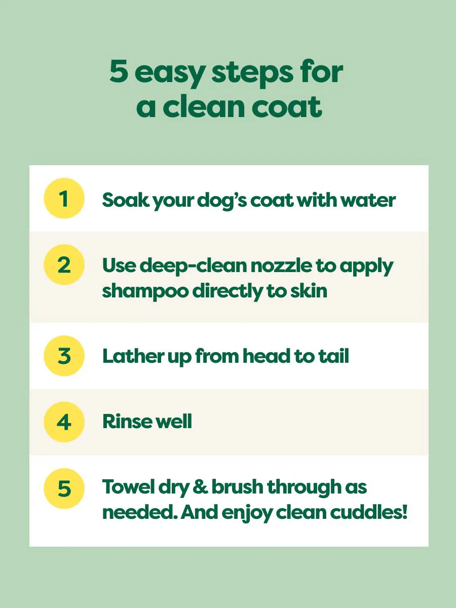 Curly Coat 3-in-1 Dog Shampoo - Image 5