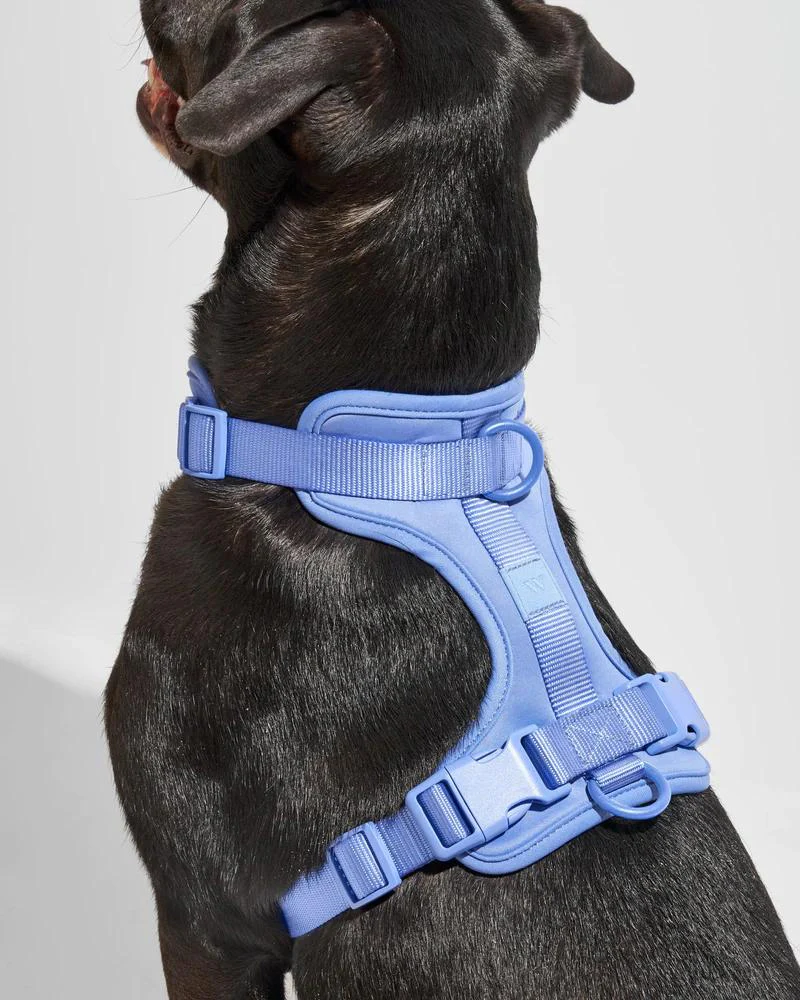 Cushioned Dog Harness in Moonstone (FINAL SALE) - Image 2