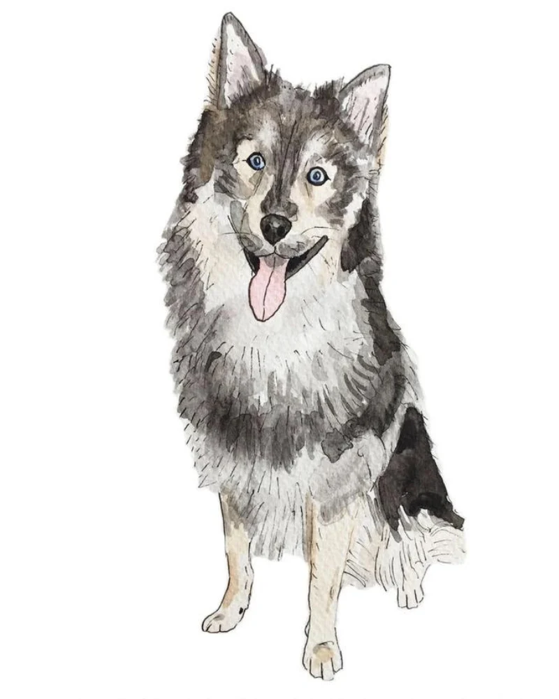 Custom Watercolor Pet Portrait (5x7) - Image 13