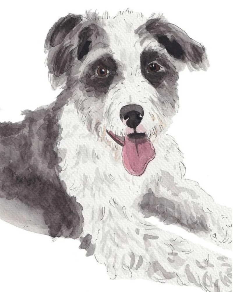Custom Watercolor Pet Portrait (5x7) - Image 8
