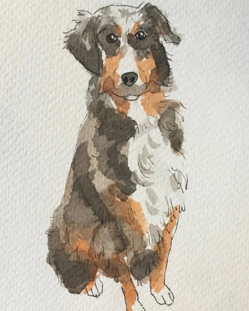 Custom Watercolor Pet Portrait (5x7) - Image 9