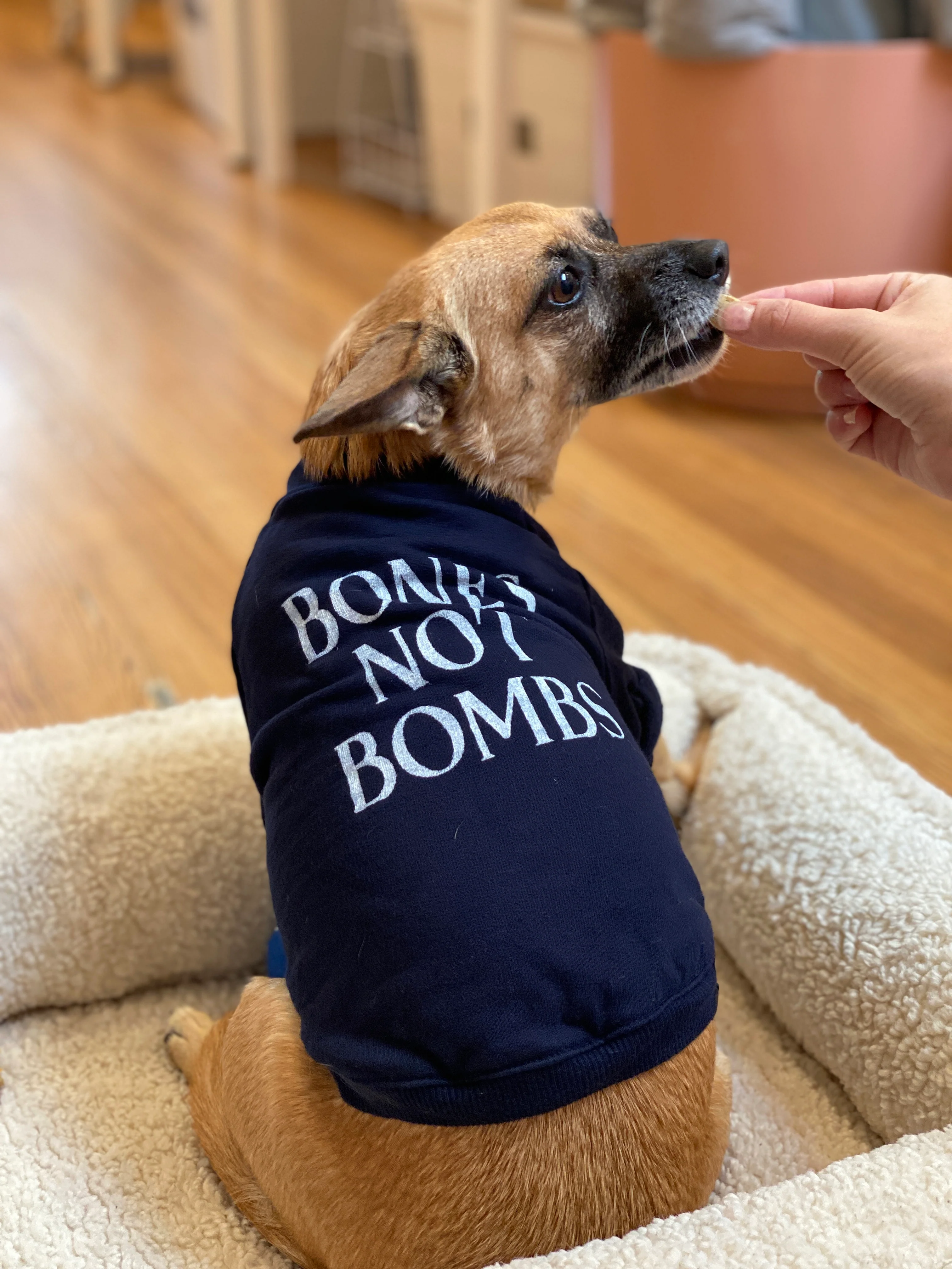 Cut-Sleeve “Four-Legged Feminist” T-Shirt (Made in the USA) - Image 5