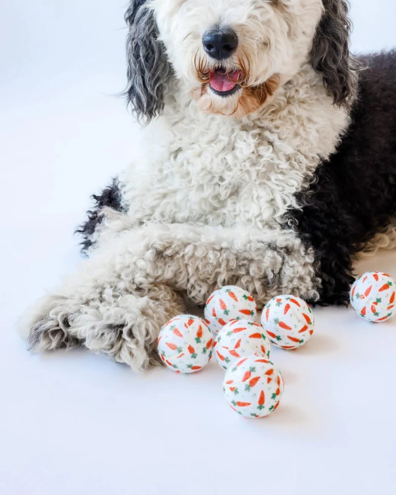 Cutest Carrots Tennis Ball (Mini or Regular Size) - Image 5