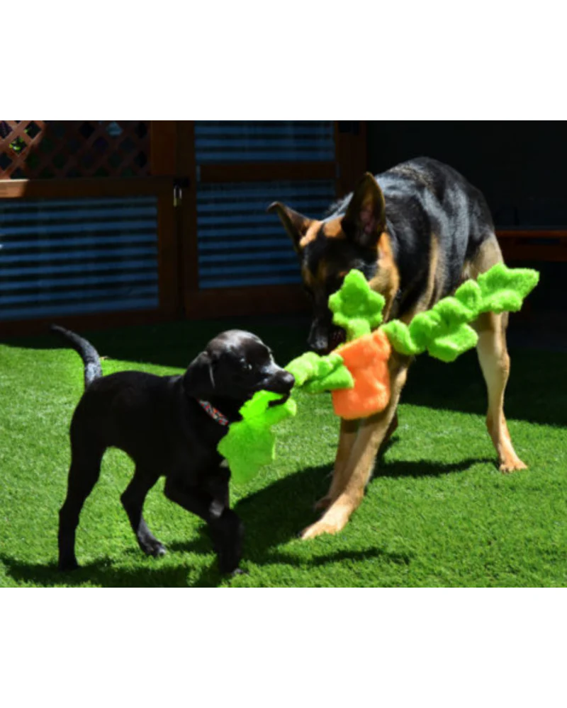 Ivy the Springy Vine Un-Stuffed Dog Toy (Made in the USA) - Image 4