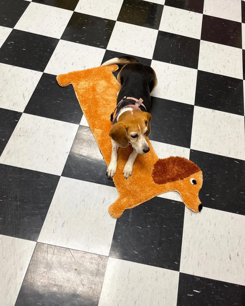 Dachshund Door, Bath + Feeding Mat - Image 2