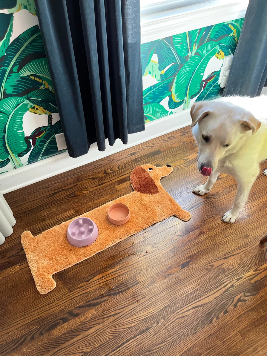 Dachshund Door, Bath + Feeding Mat - Image 4