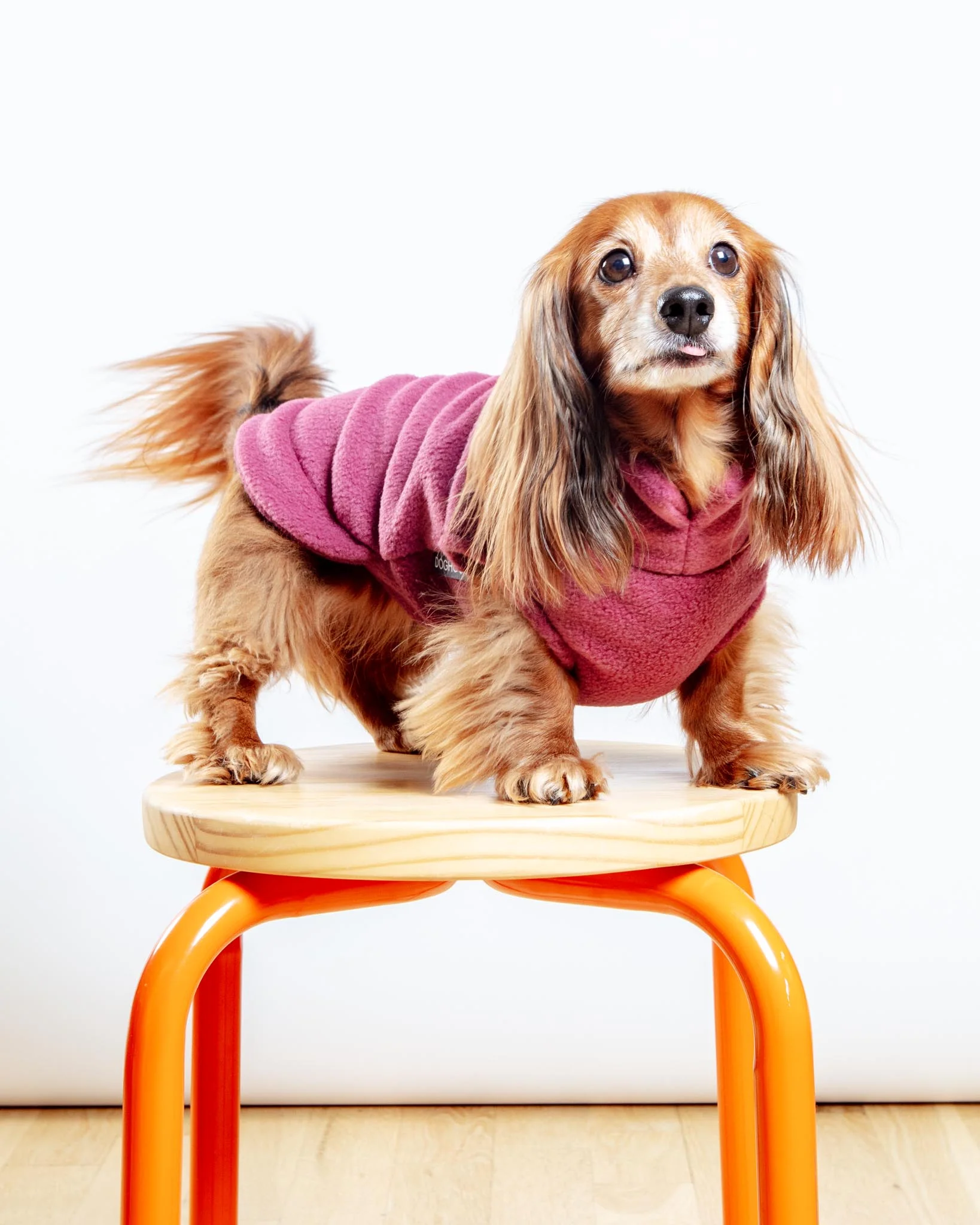 Dachshund Fleece Jumper in Dusty Rose (Made in the UK)