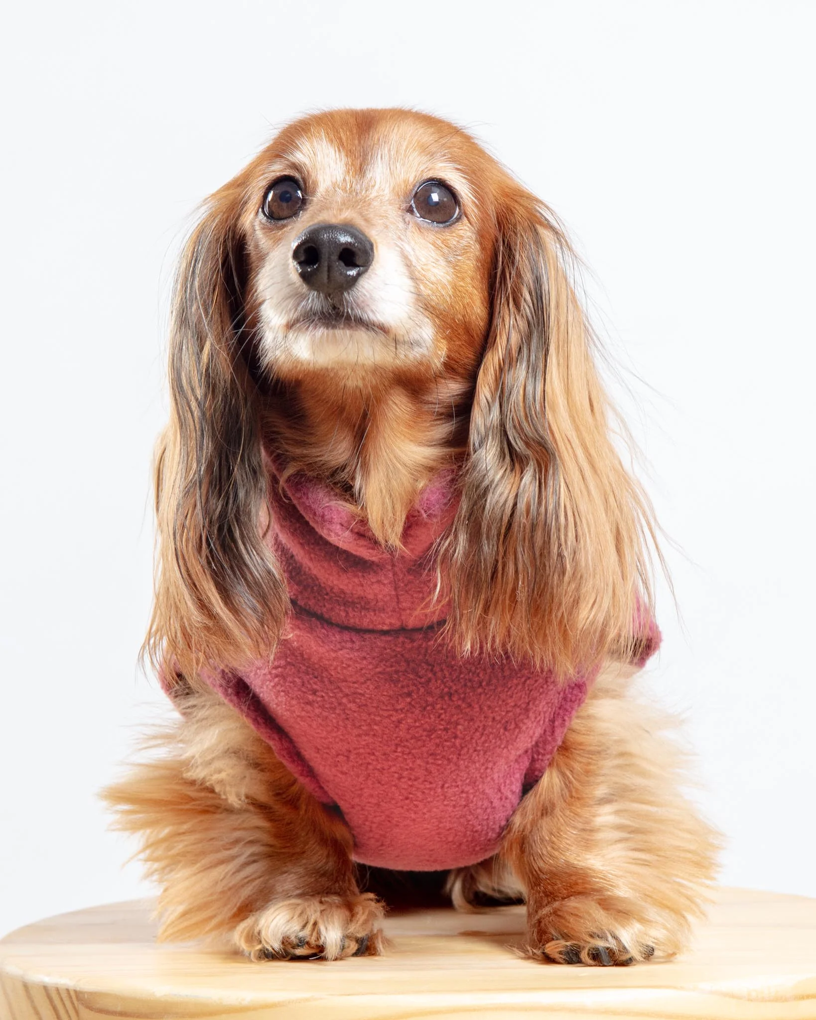 Dachshund Fleece Jumper in Dusty Rose (Made in the UK) - Image 4