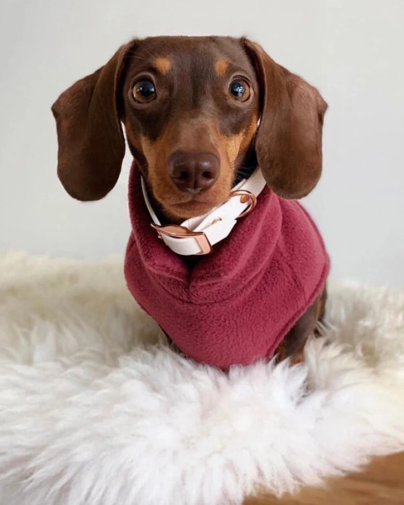 Dachshund Fleece Jumper in Dusty Rose (Made in the UK) - Image 6