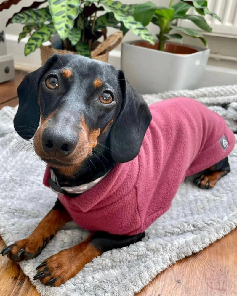 Dachshund Fleece Jumper in Dusty Rose (Made in the UK) - Image 7