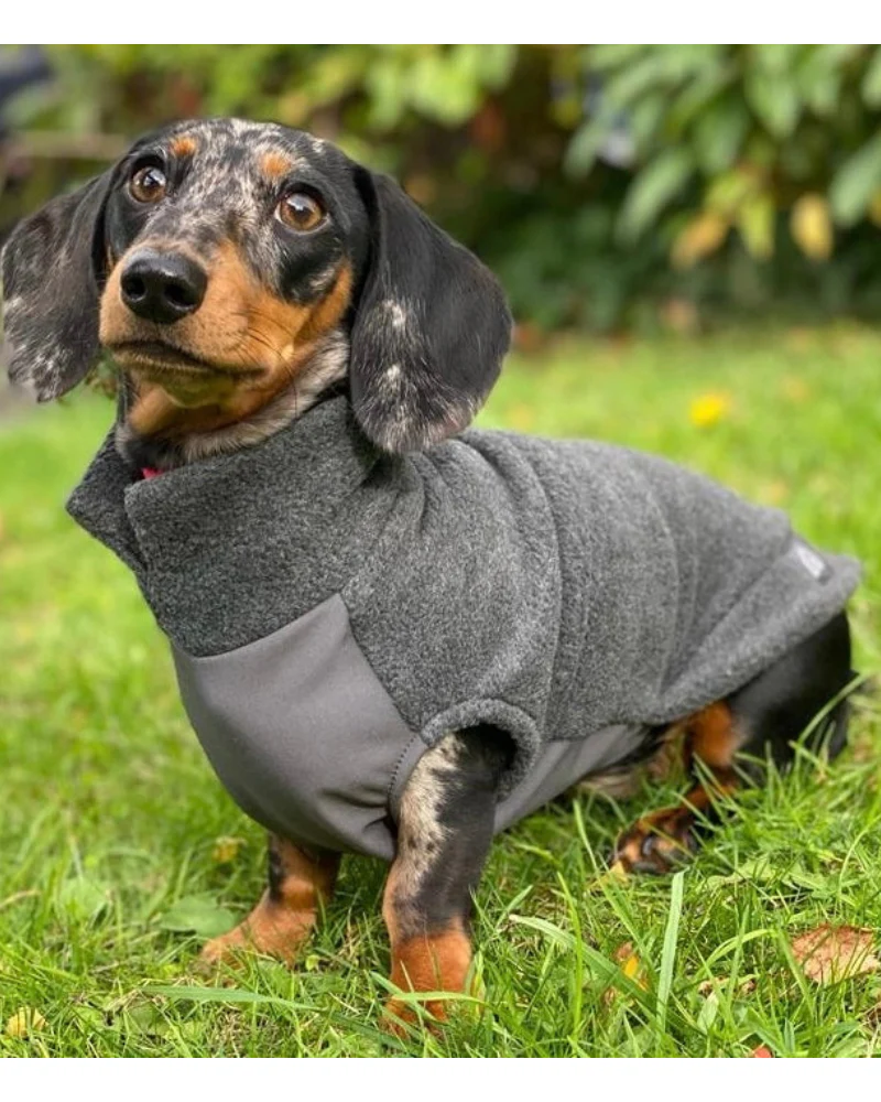 Dachshund Fleece Jumper with Waterproof Belly Panel (Made in the UK) - Image 3
