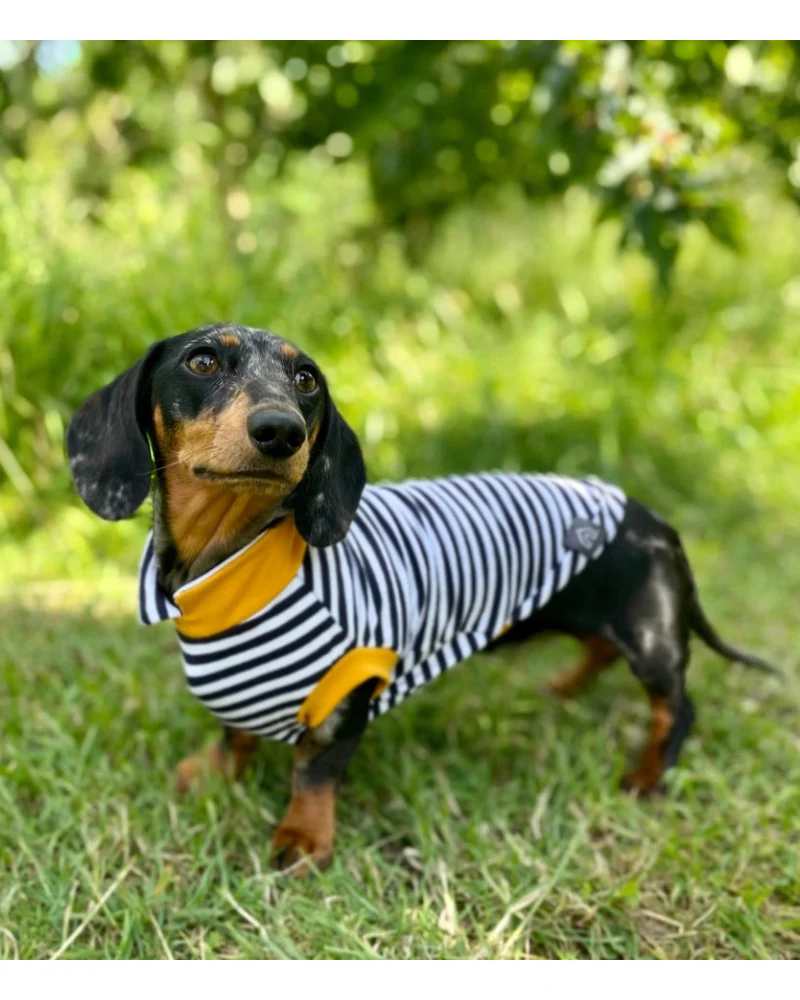 Dachshund Dog T-Shirt (Egg or Stripe) (Made in the UK) (FINAL SALE) - Image 6