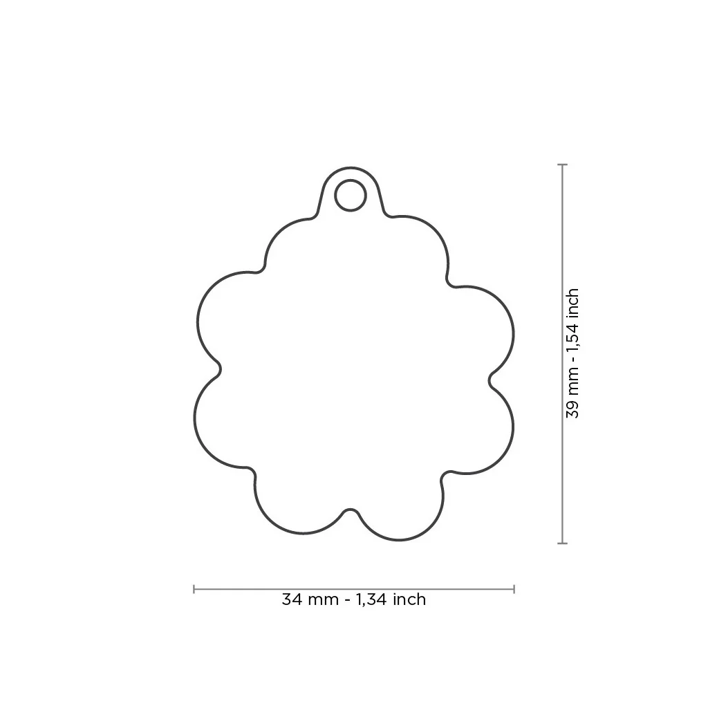 Hey Daisy Custom Pet ID Tag - Image 2