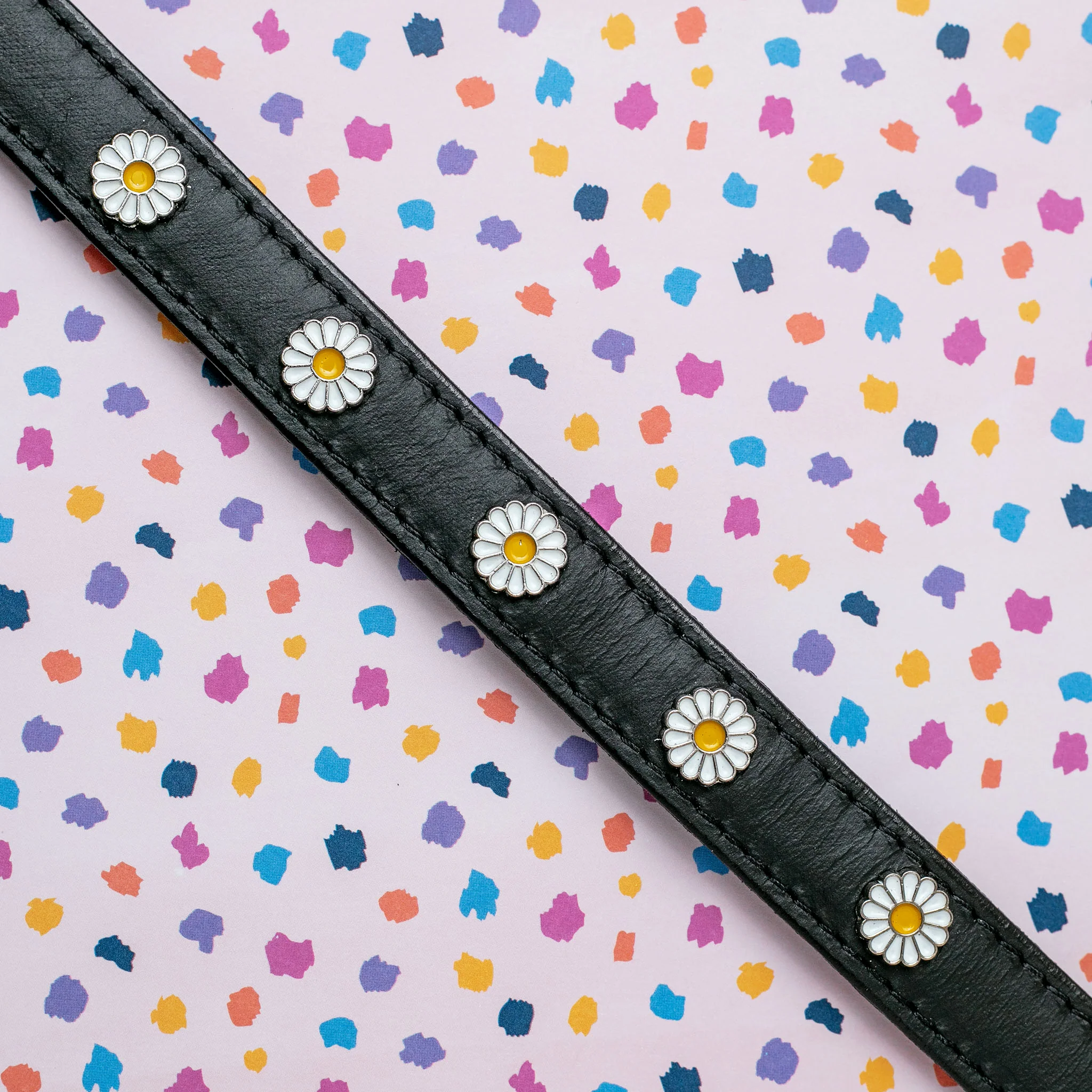 Daisy Dog Collar in Black Leather (Made in the USA) << FINAL SALE >> - Image 2