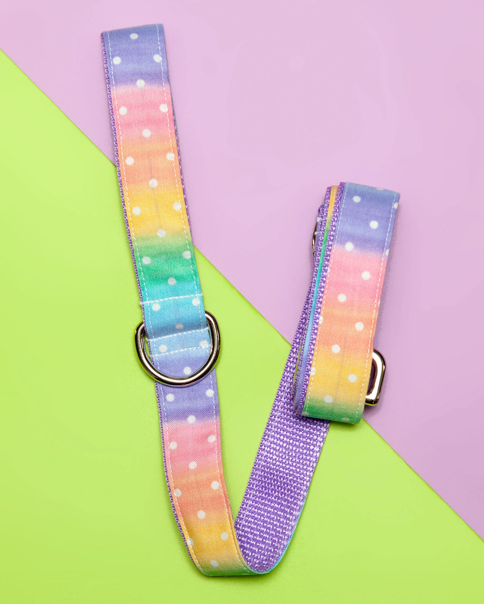Pastel Rainbow Ombre Dot Print Dog Leash (FINAL SALE) - Image 2