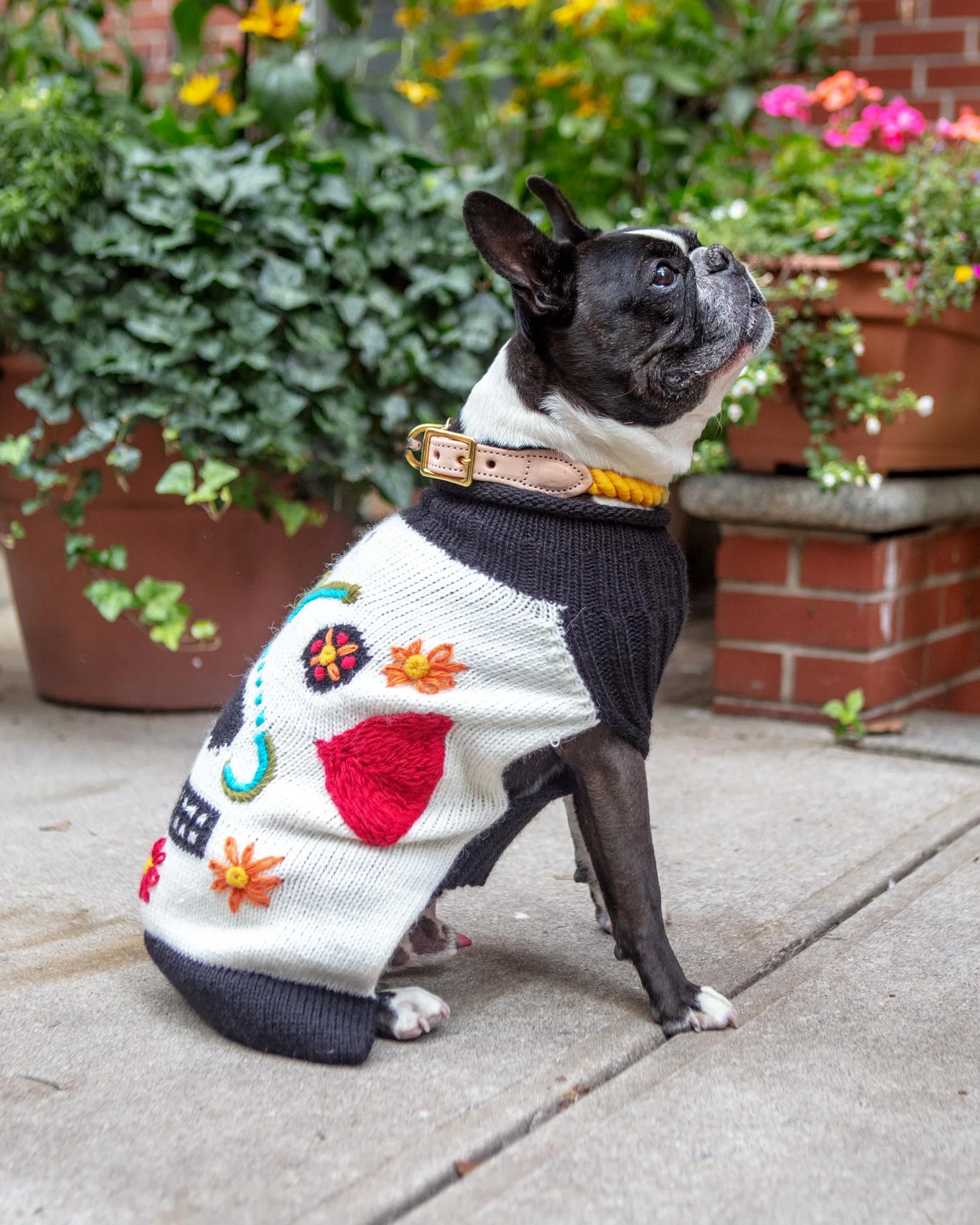 Day of the Dead Handknit Dog Sweater (FINAL SALE) - Image 2