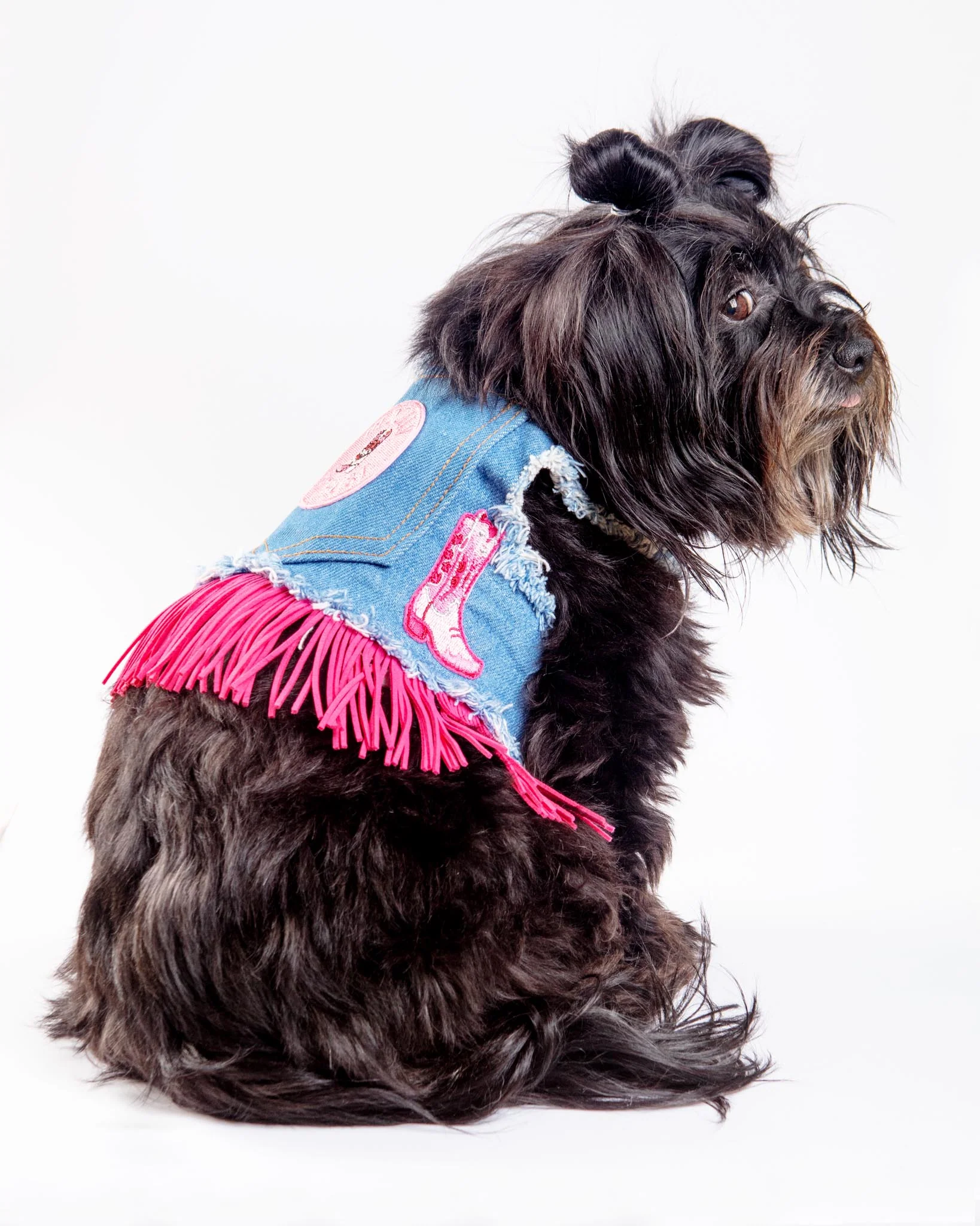 Denim Cowgirl Dog Harness (Made in the USA) (FINAL SALE) - Image 2