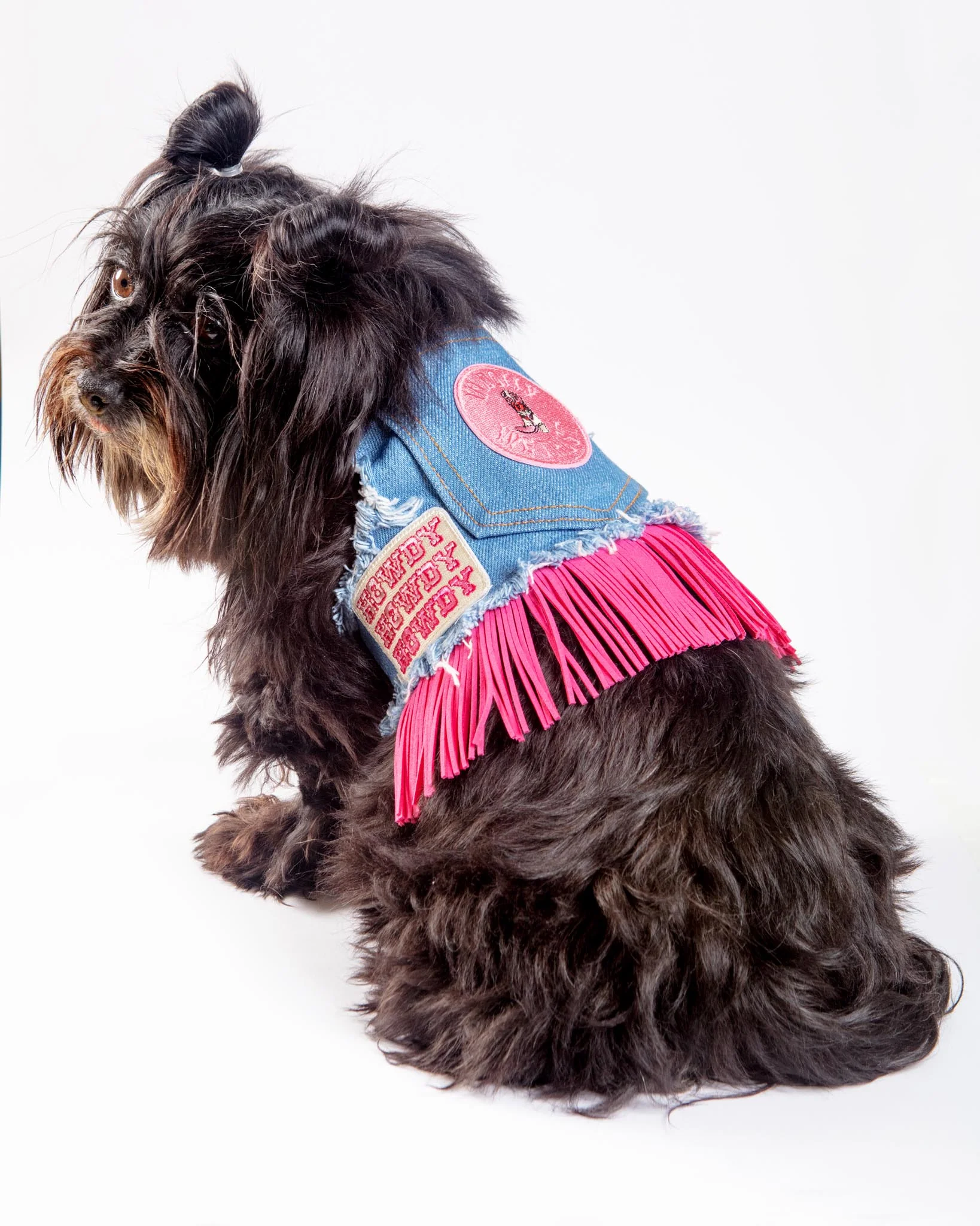 Denim Cowgirl Dog Harness (Made in the USA) (FINAL SALE) - Image 5