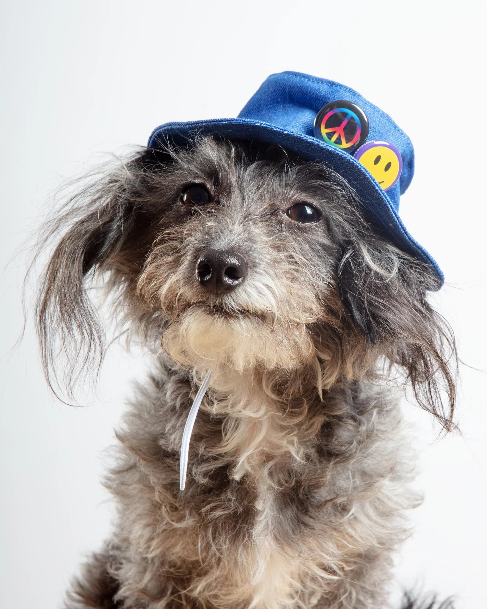 Denim Pet Bucket Hat (Made in the USA)