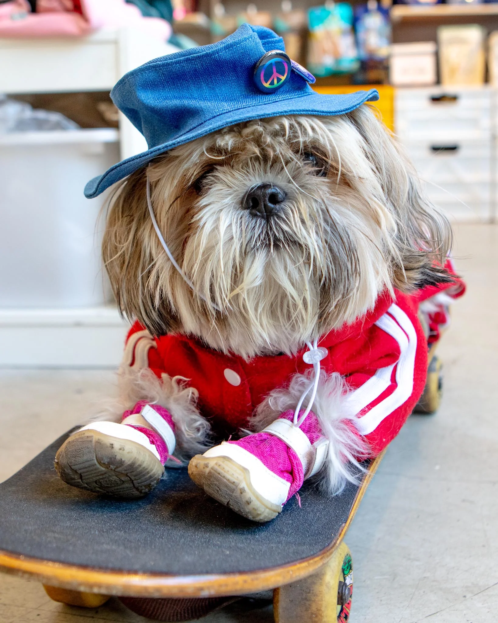 Denim Pet Bucket Hat (Made in the USA) - Image 3