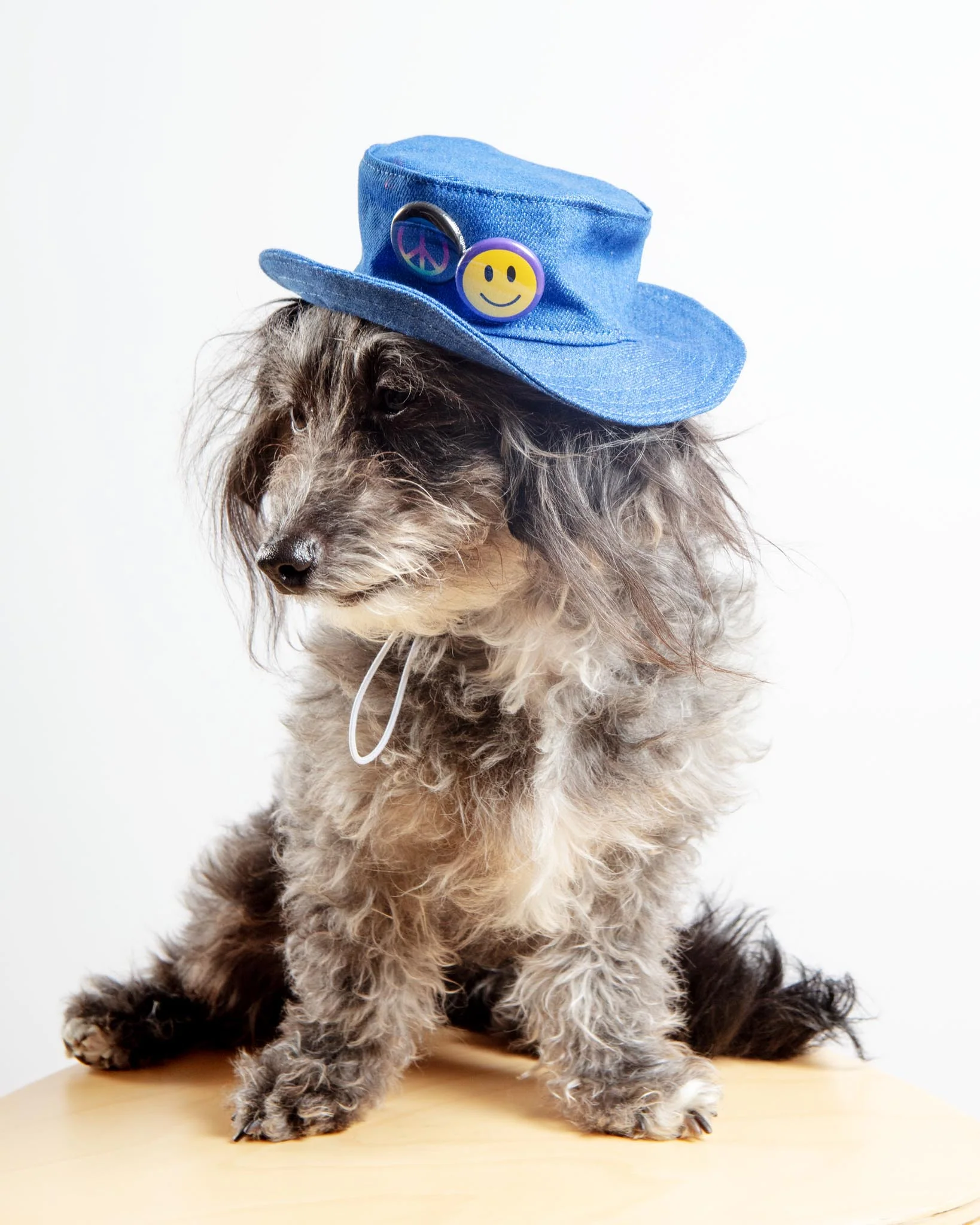 Denim Pet Bucket Hat (Made in the USA) - Image 4
