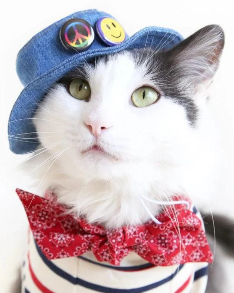 Denim Pet Bucket Hat (Made in the USA) - Image 6