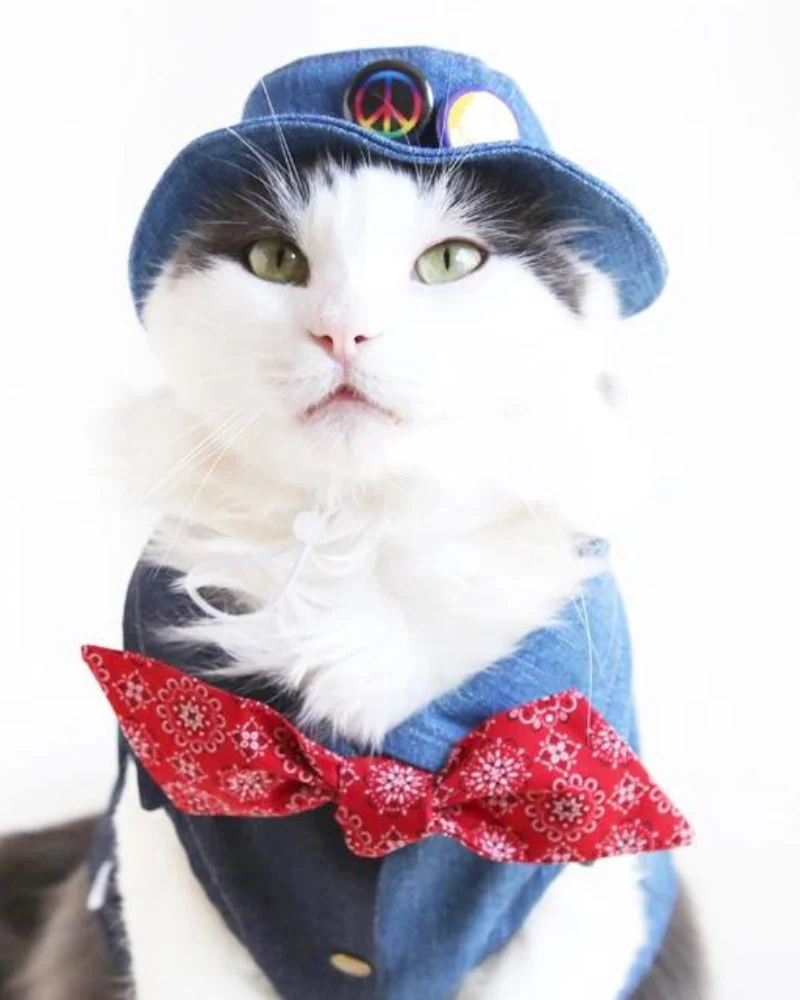 Denim Pet Bucket Hat (Made in the USA) - Image 9