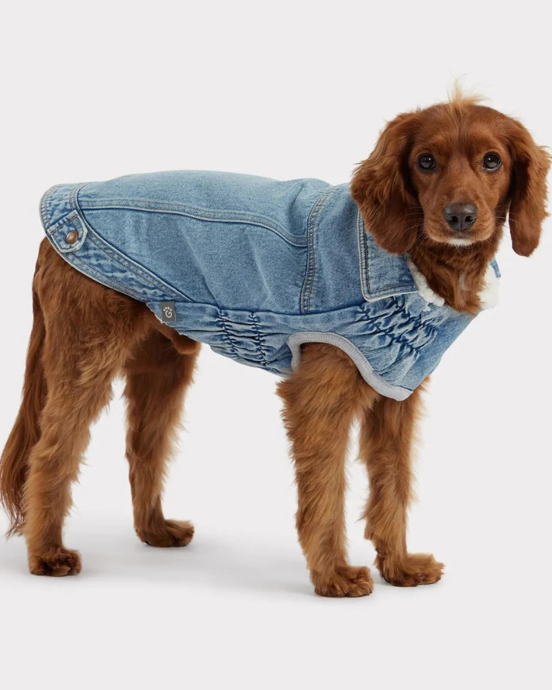 Denim Shearling Dog Jacket in Light Wash (FINAL SALE) - Image 5