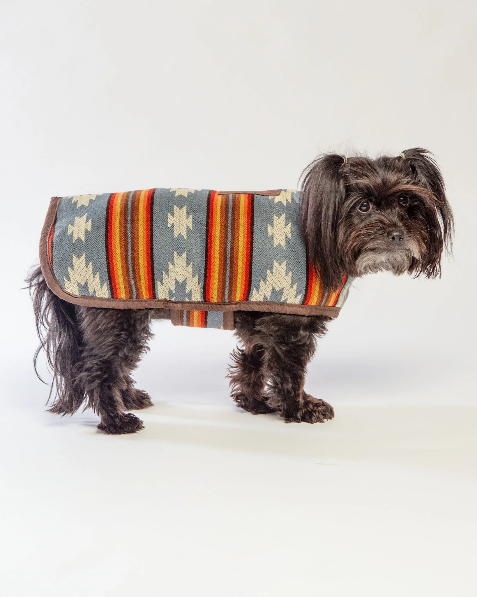 Denim Sunset Blanket Dog Coat << FINAL SALE >> - Image 4