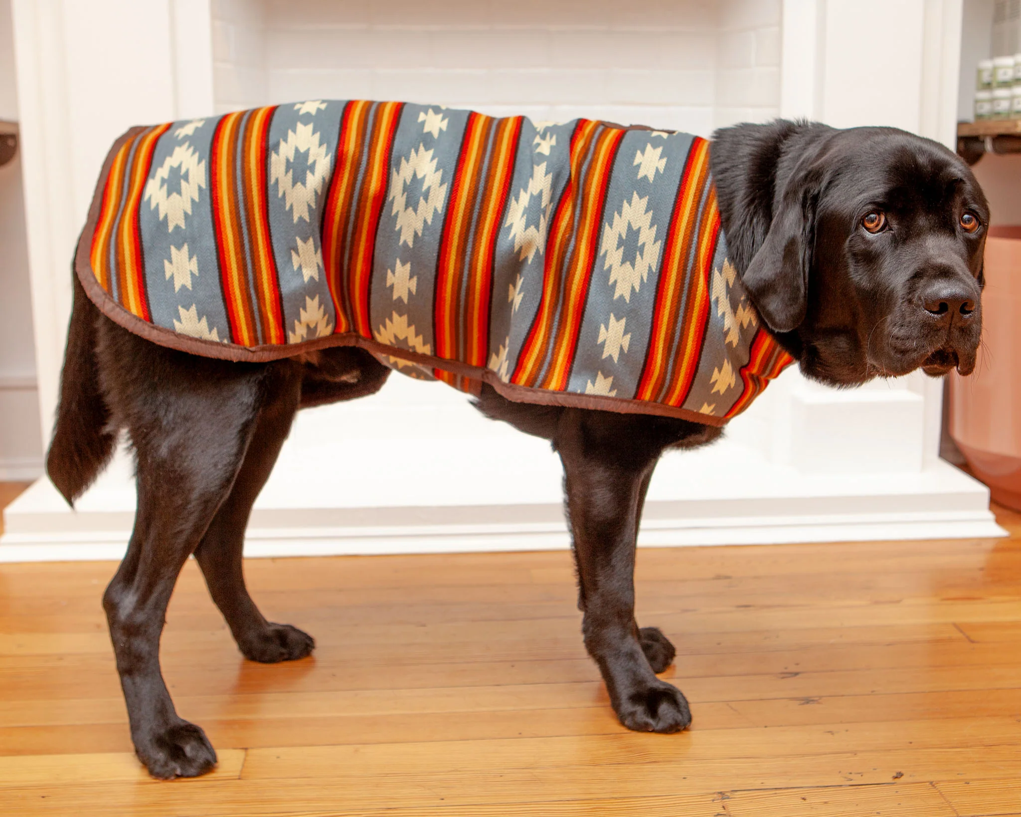 Denim Sunset Blanket Dog Coat << FINAL SALE >> - Image 5