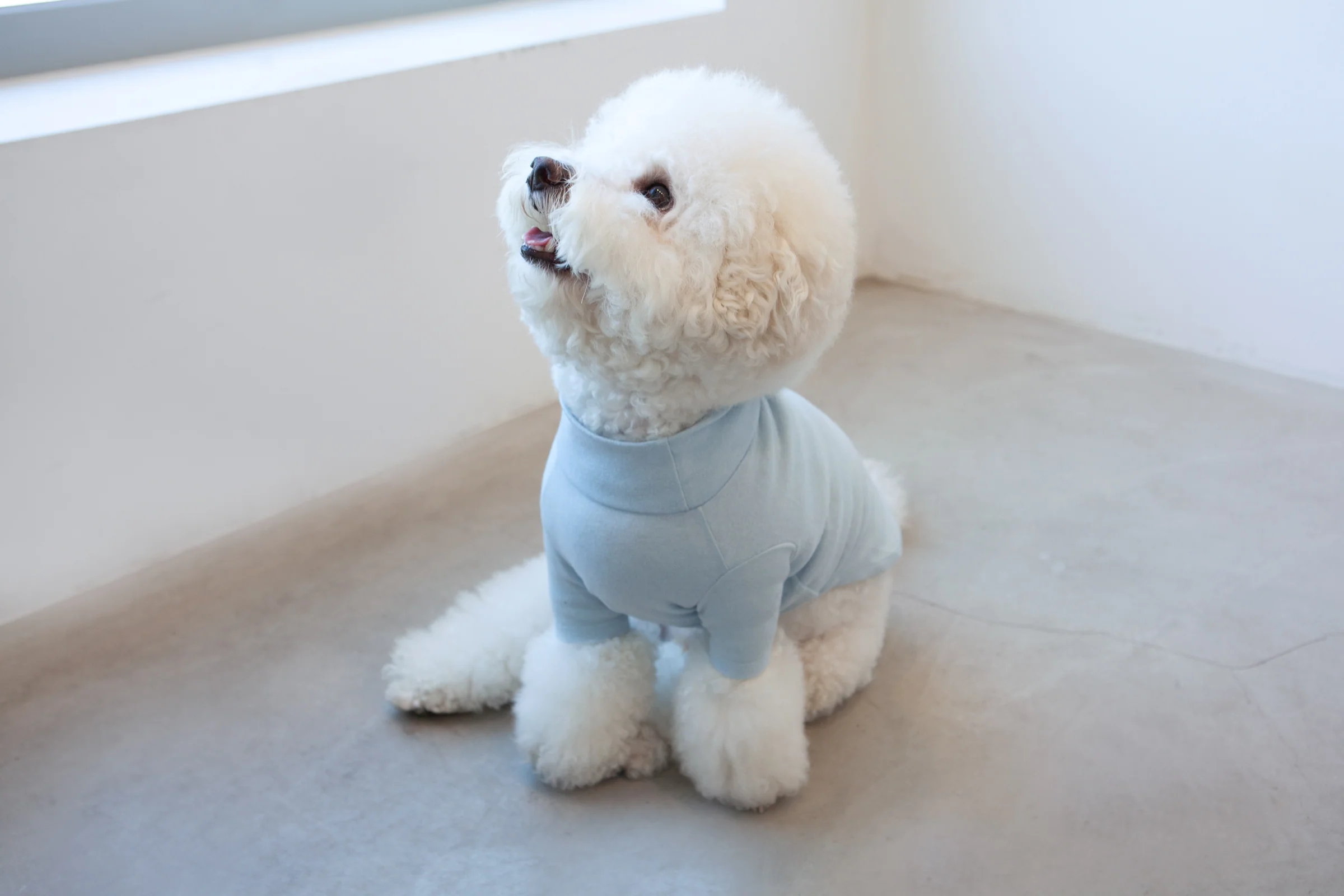 Basic Turtleneck in Light Blue (FINAL SALE) - Image 3