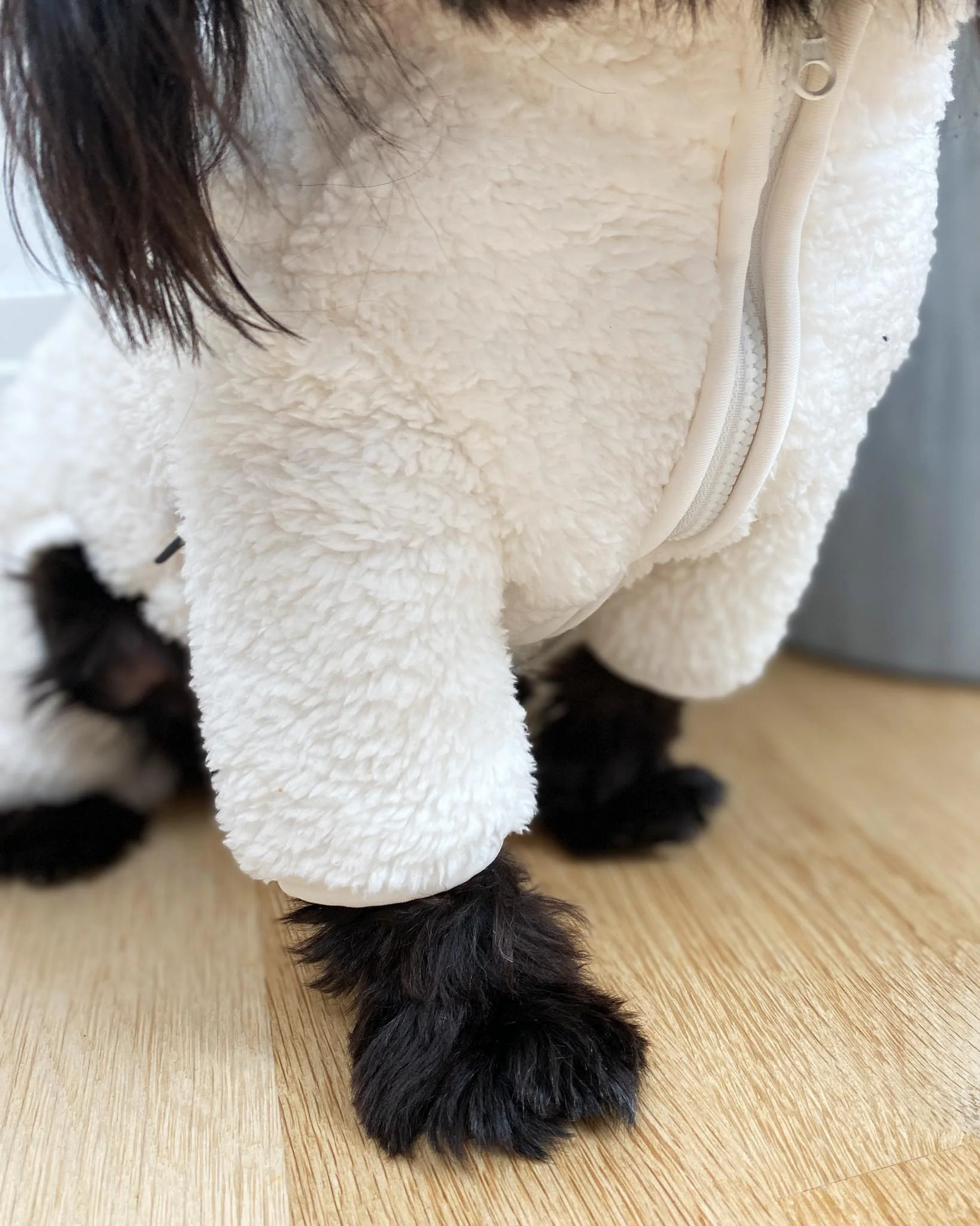Boa Fleece Onesie in Cream (Dog & Co. Exclusive) (FINAL SALE) - Image 3