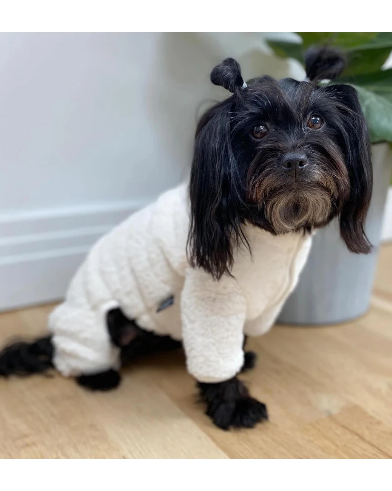 Boa Fleece Onesie in Cream (Dog & Co. Exclusive) (FINAL SALE) - Image 5