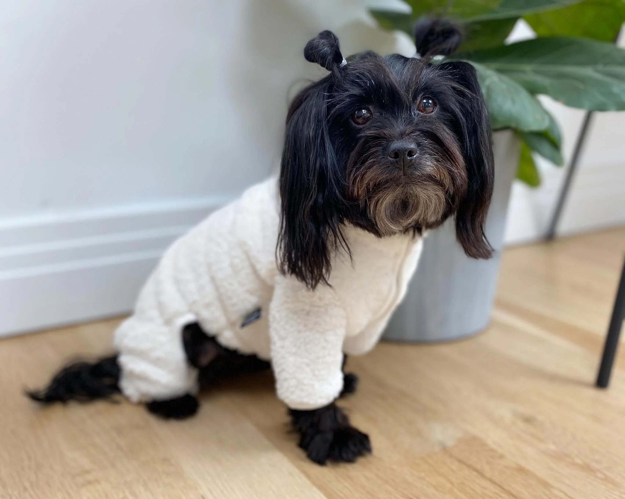 Boa Fleece Onesie in Cream (Dog & Co. Exclusive) (FINAL SALE) - Image 6