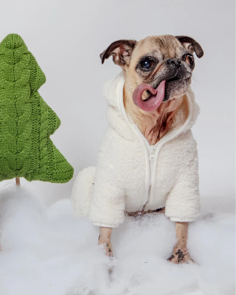 Boa Fleece Onesie in Cream (Dog & Co. Exclusive) (FINAL SALE) - Image 7