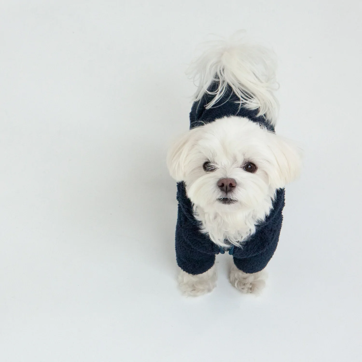 Boa Fleece Onesie in Navy (Dog & Co. Exclusive) - Image 4