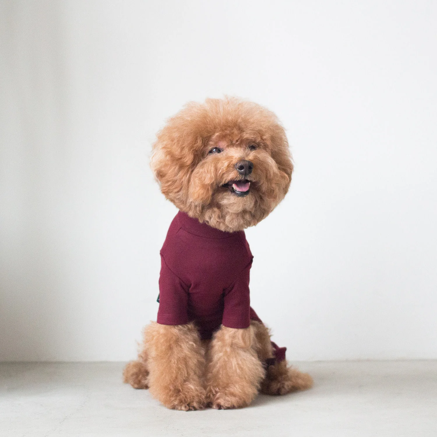 DENTISTS APPOINTMENT | Body Warm All-in-One in Burgundy - Image 4