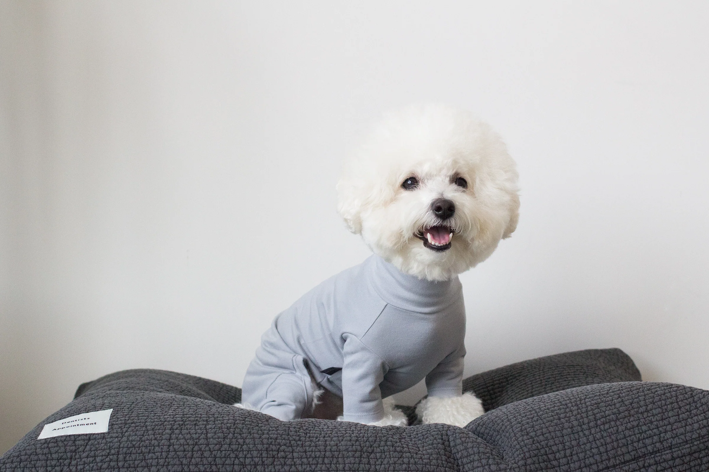 DENTISTS APPOINTMENT | Body Warm All-in-One in Light Grey - Image 4