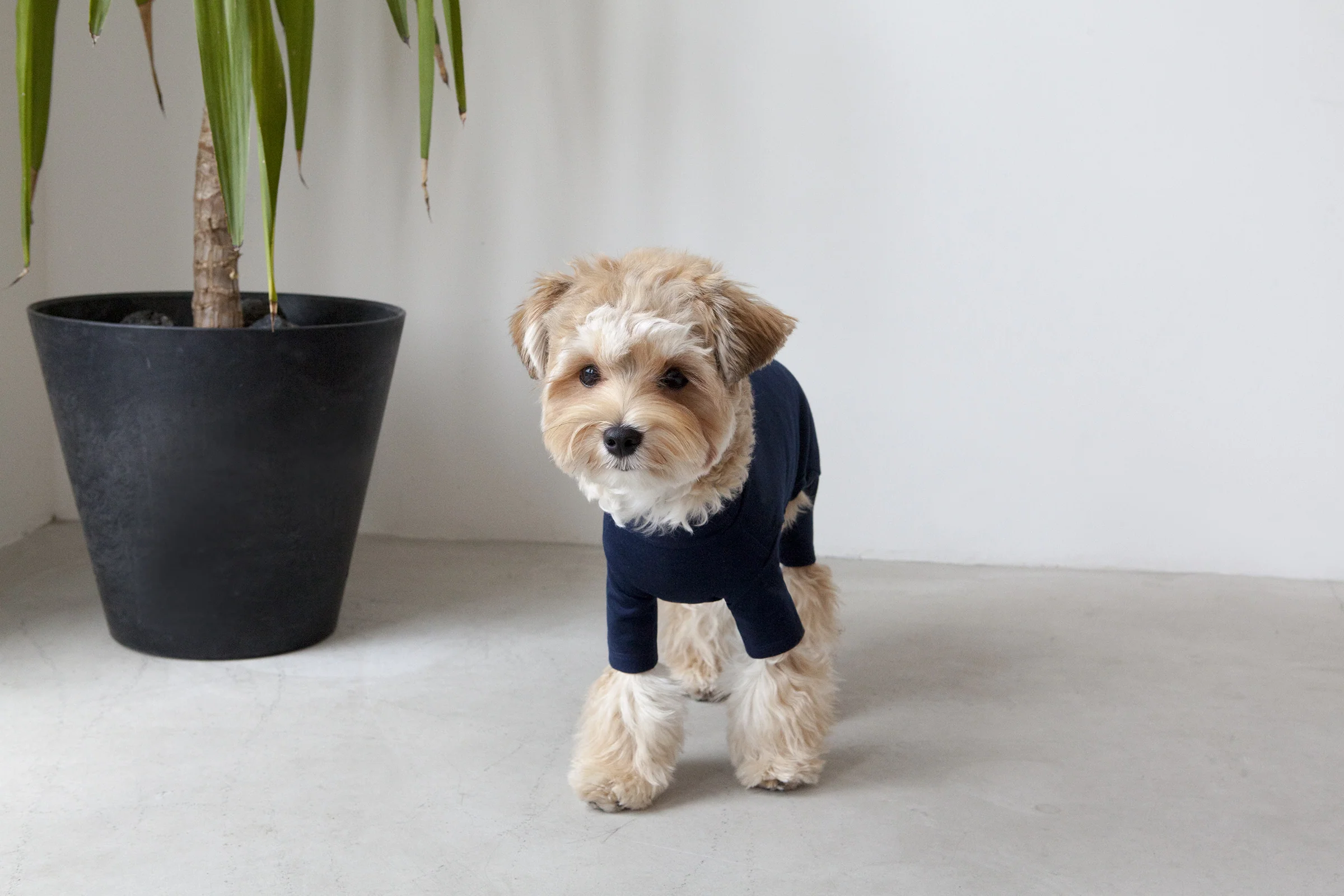 DENTISTS APPOINTMENT | Body Warm All-in-One in Navy - Image 2