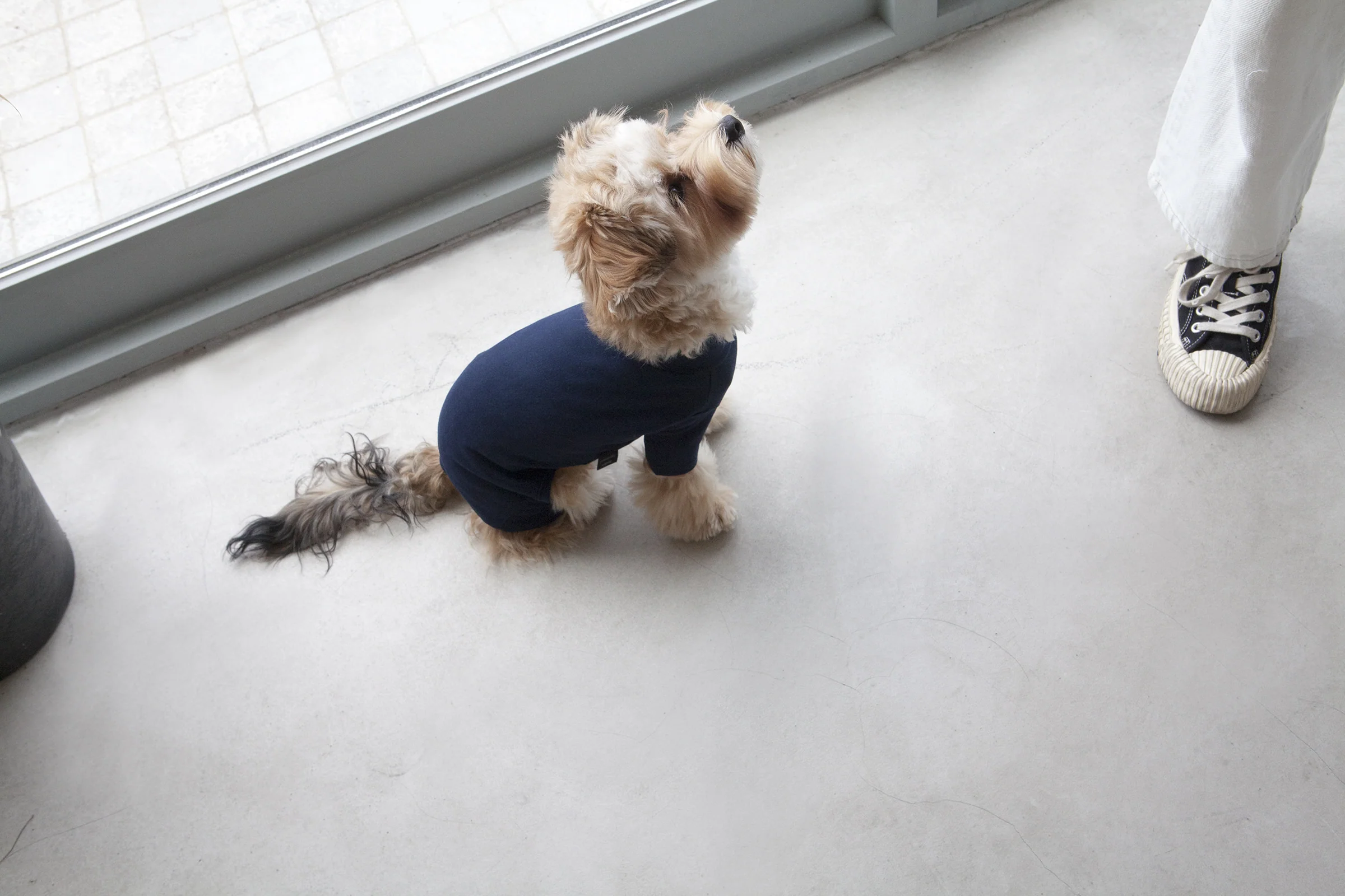 DENTISTS APPOINTMENT | Body Warm All-in-One in Navy - Image 4