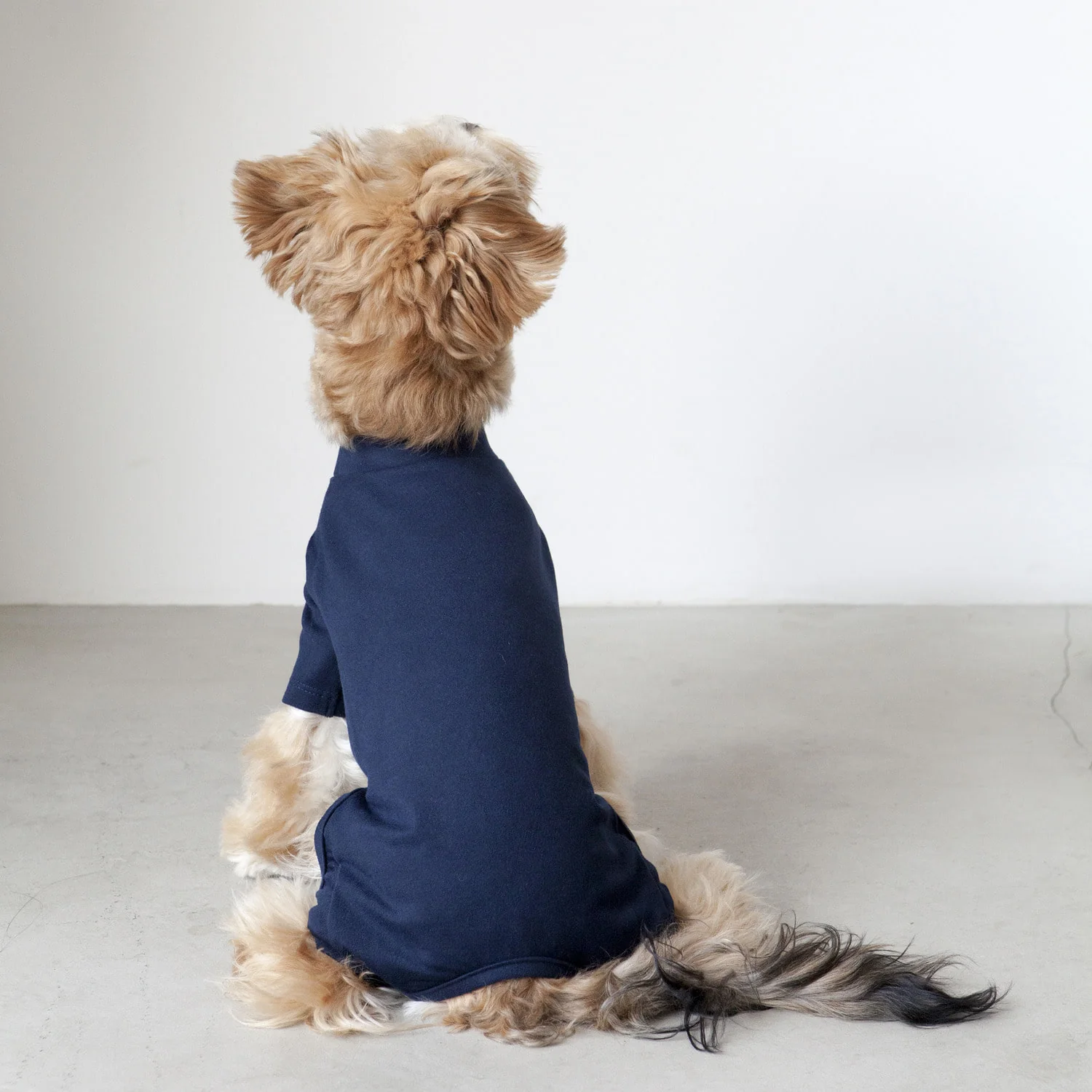 DENTISTS APPOINTMENT | Body Warm All-in-One in Navy - Image 5