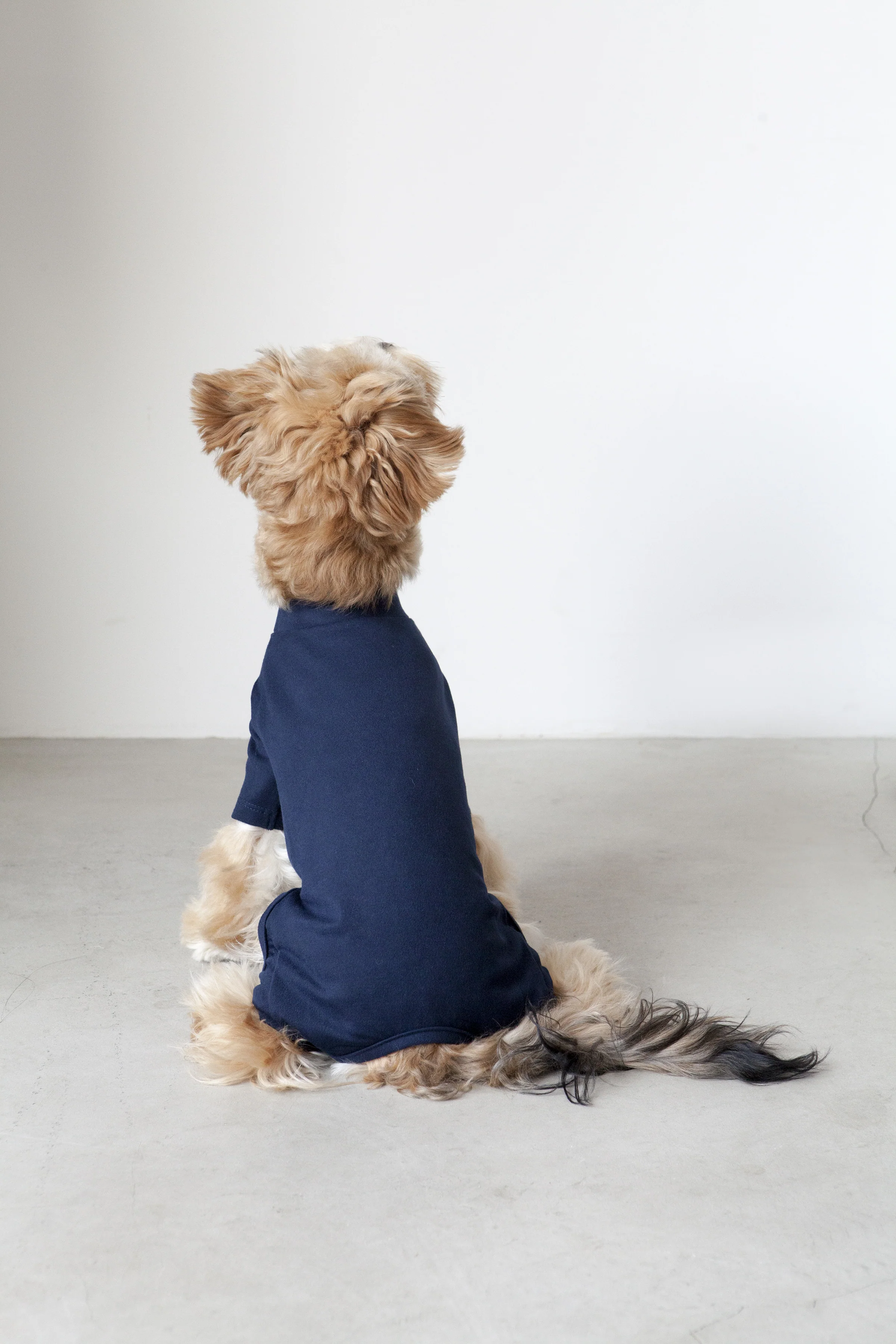 DENTISTS APPOINTMENT | Body Warm All-in-One in Navy - Image 6
