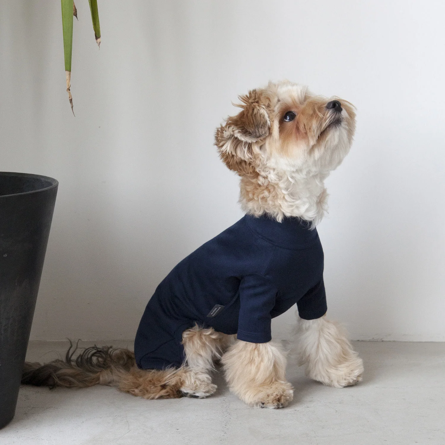 DENTISTS APPOINTMENT | Body Warm All-in-One in Navy - Image 7